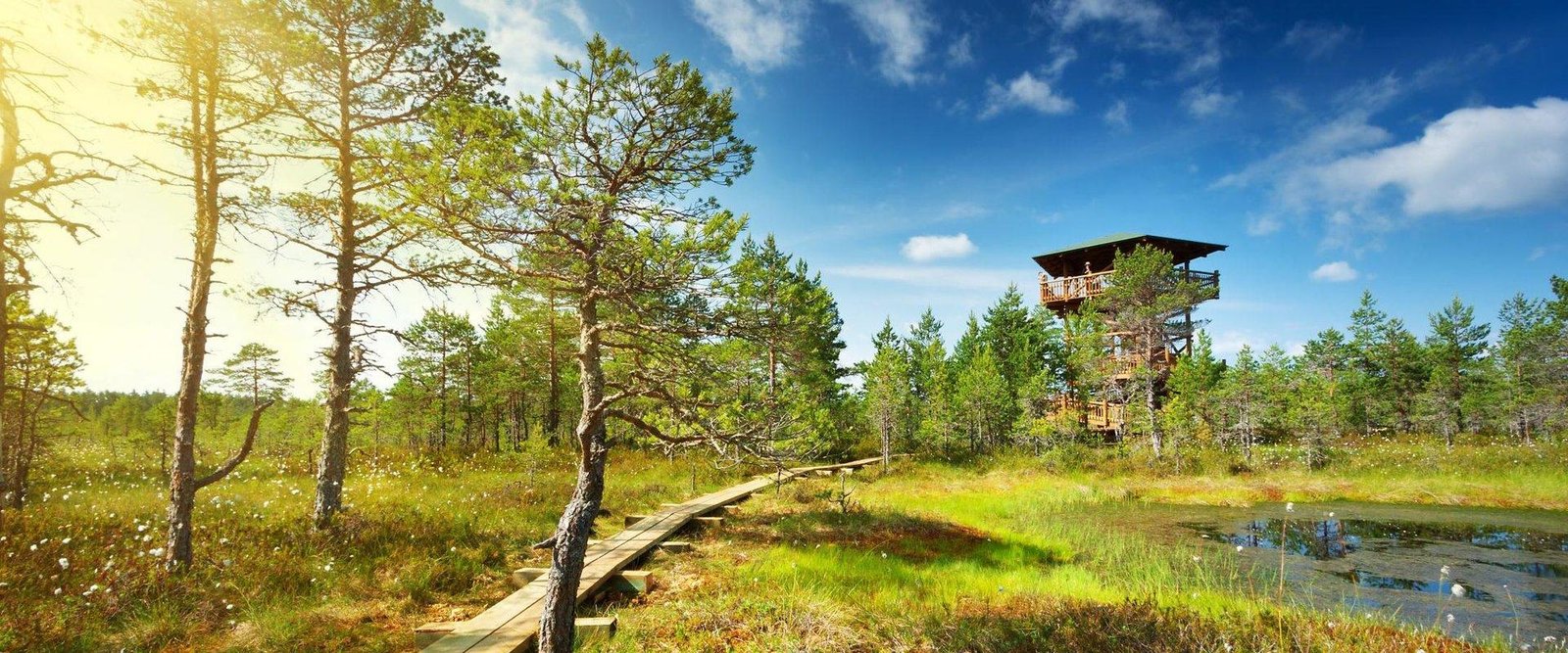 Lahemaa National Park