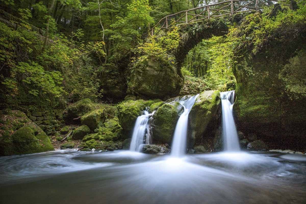 Mullerthal Region (Little Switzerland)