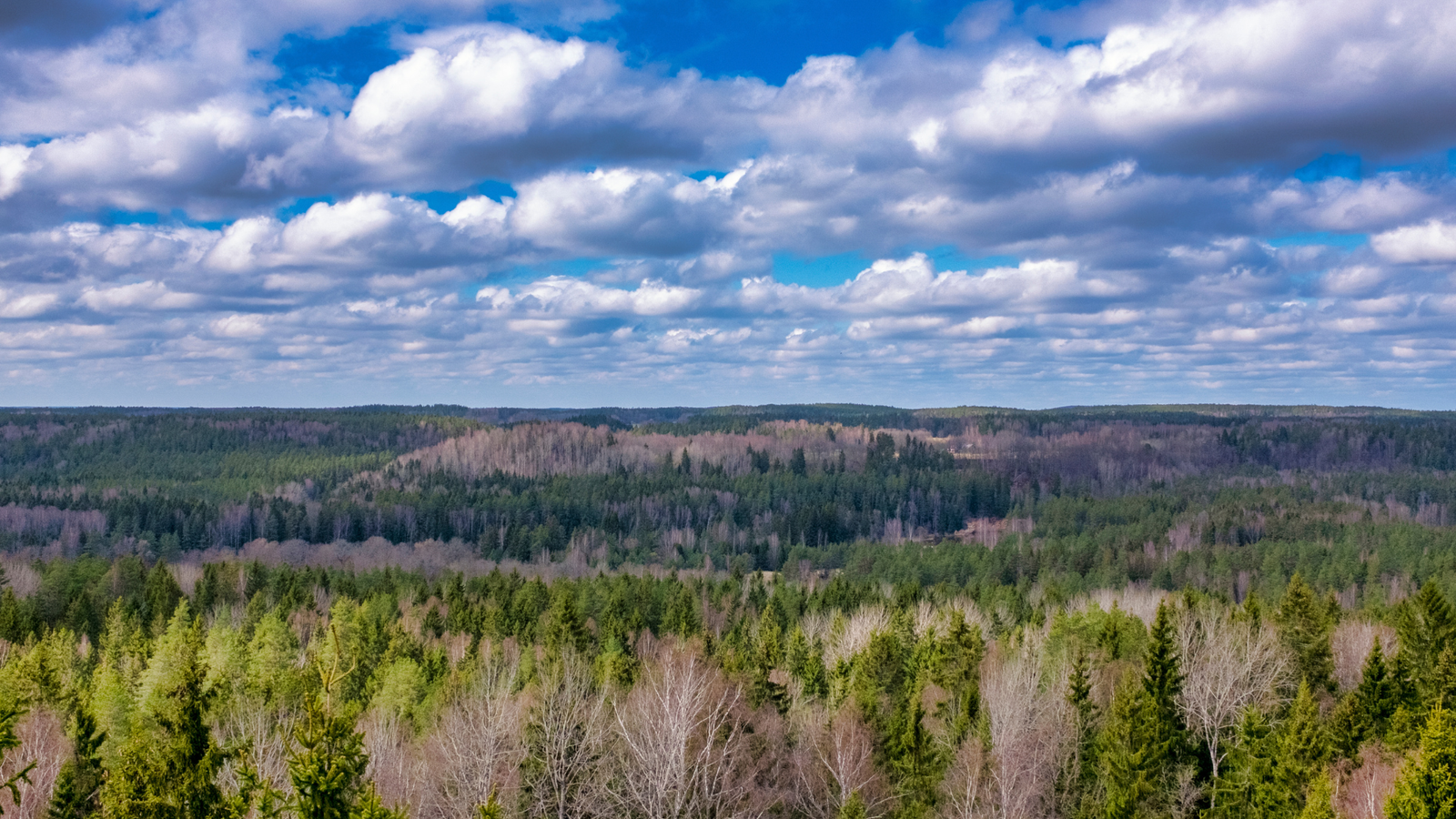 Gauja National Park