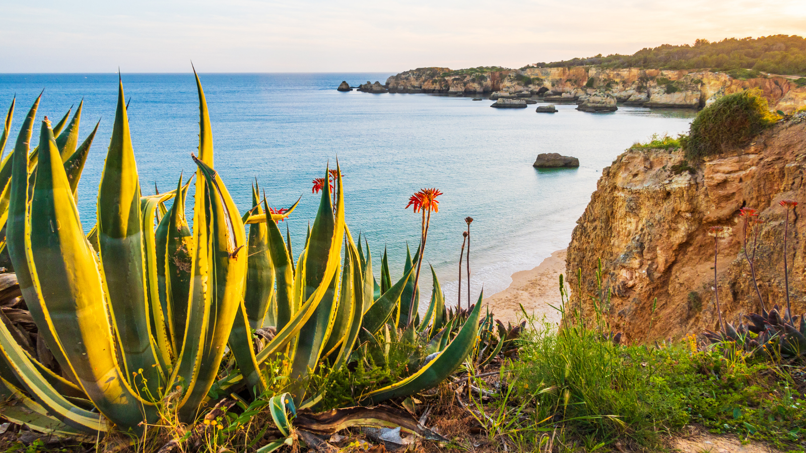 Algarve Coast