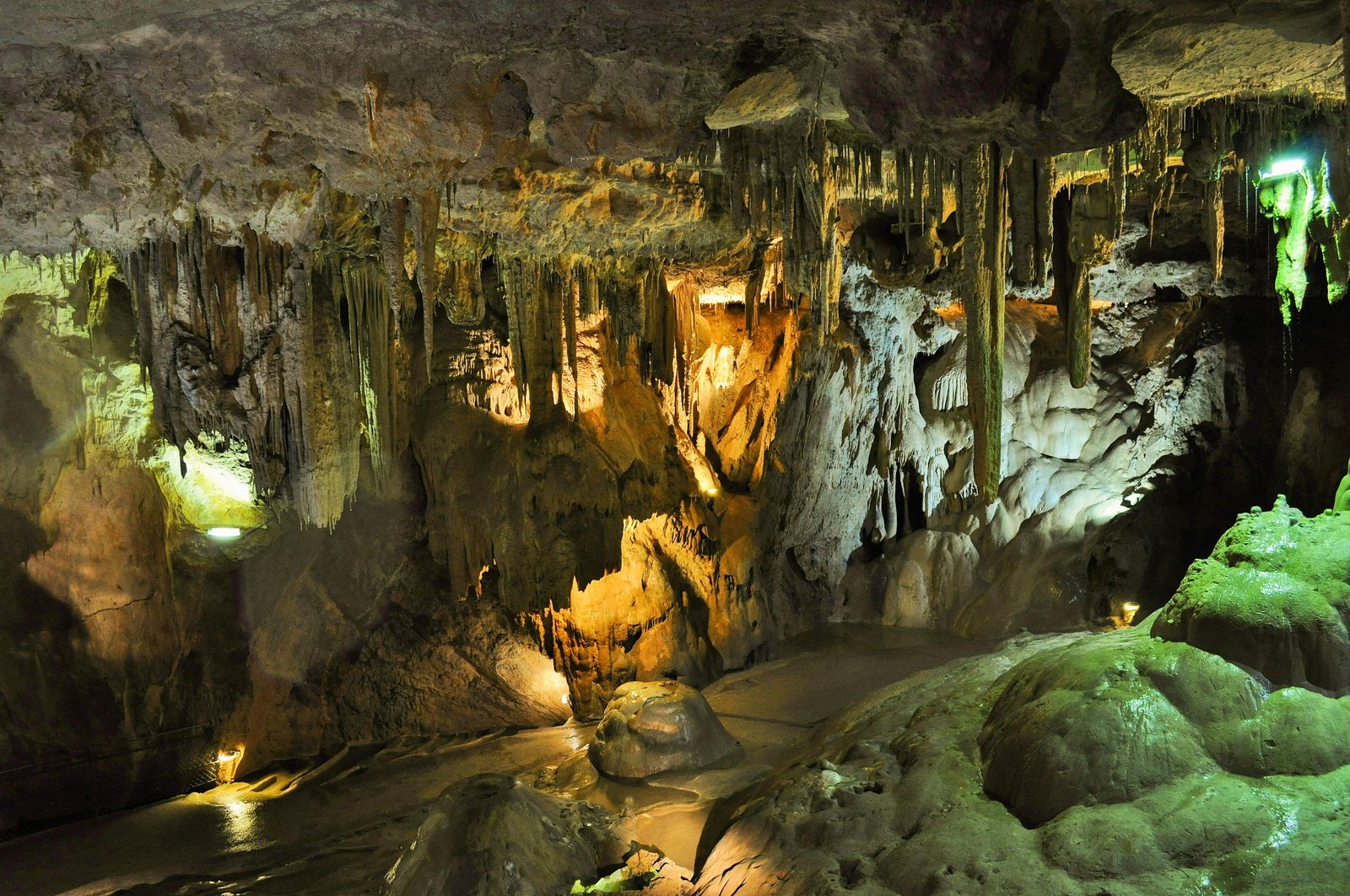 Postojna Cave